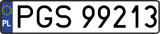 PGS99213