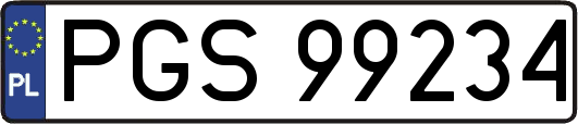 PGS99234