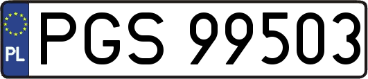 PGS99503
