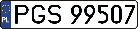 PGS99507