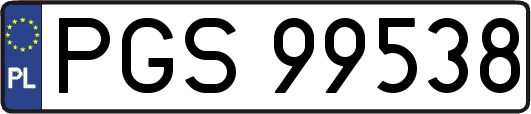 PGS99538