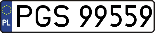 PGS99559