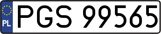 PGS99565