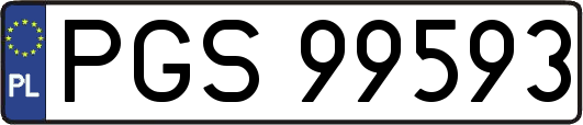 PGS99593