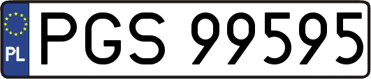 PGS99595