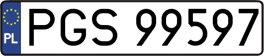 PGS99597