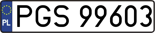 PGS99603