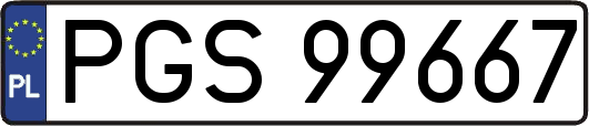 PGS99667