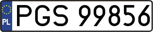 PGS99856