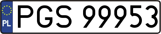 PGS99953