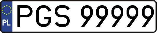 PGS99999