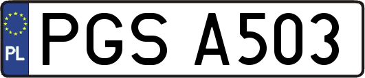 PGSA503