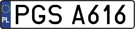 PGSA616