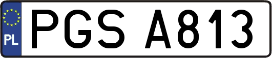 PGSA813