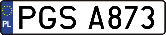PGSA873