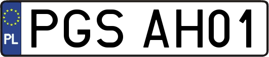 PGSAH01