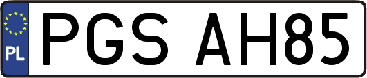 PGSAH85