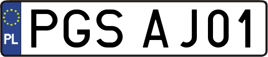 PGSAJ01