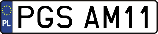 PGSAM11