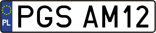 PGSAM12