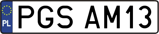 PGSAM13