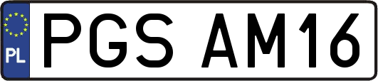 PGSAM16