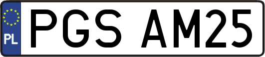 PGSAM25