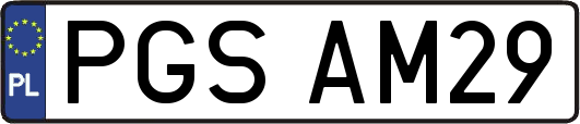 PGSAM29