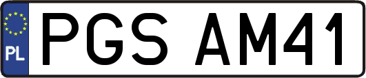 PGSAM41