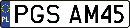 PGSAM45