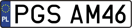 PGSAM46