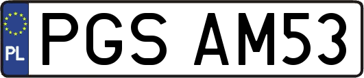 PGSAM53