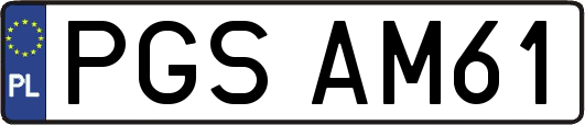 PGSAM61