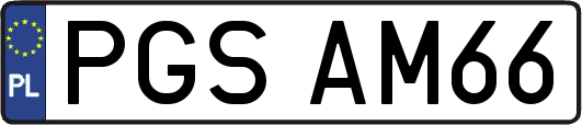 PGSAM66