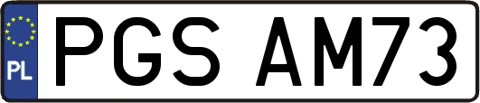 PGSAM73