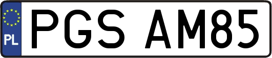 PGSAM85