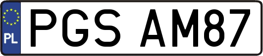 PGSAM87