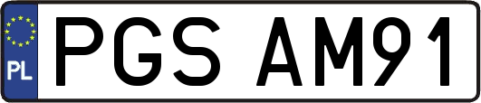 PGSAM91
