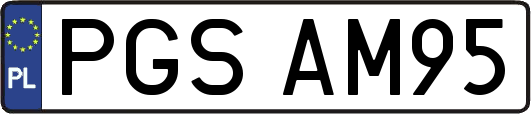 PGSAM95
