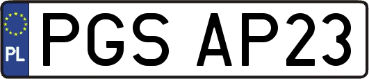 PGSAP23