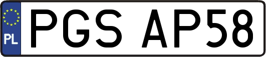 PGSAP58