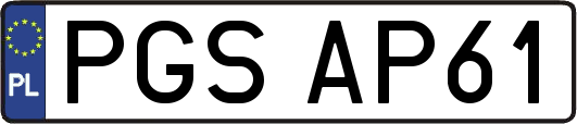 PGSAP61