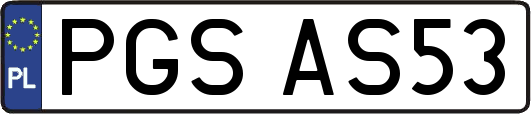 PGSAS53