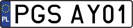 PGSAY01