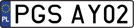 PGSAY02