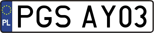 PGSAY03
