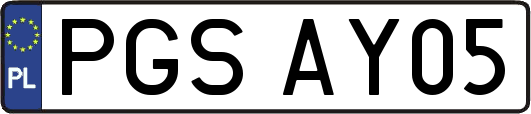 PGSAY05