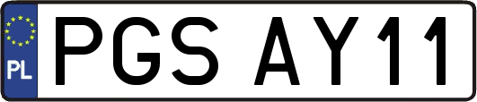 PGSAY11