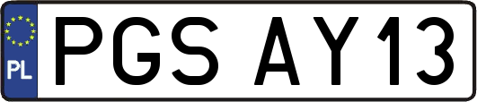 PGSAY13