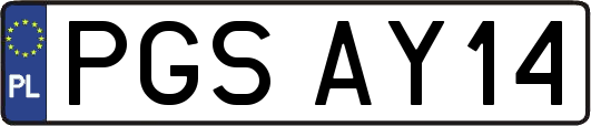 PGSAY14